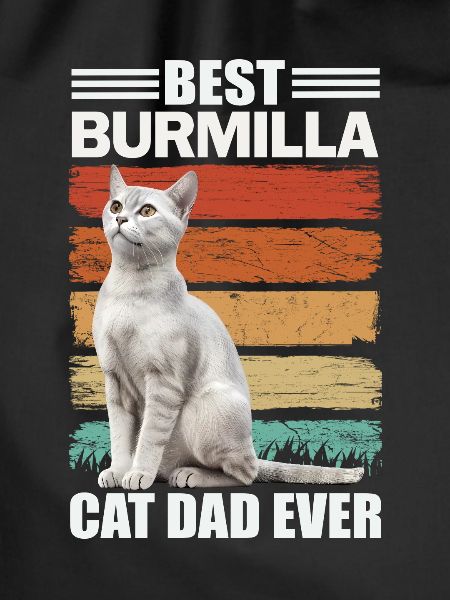 Burmilla Papa Cat