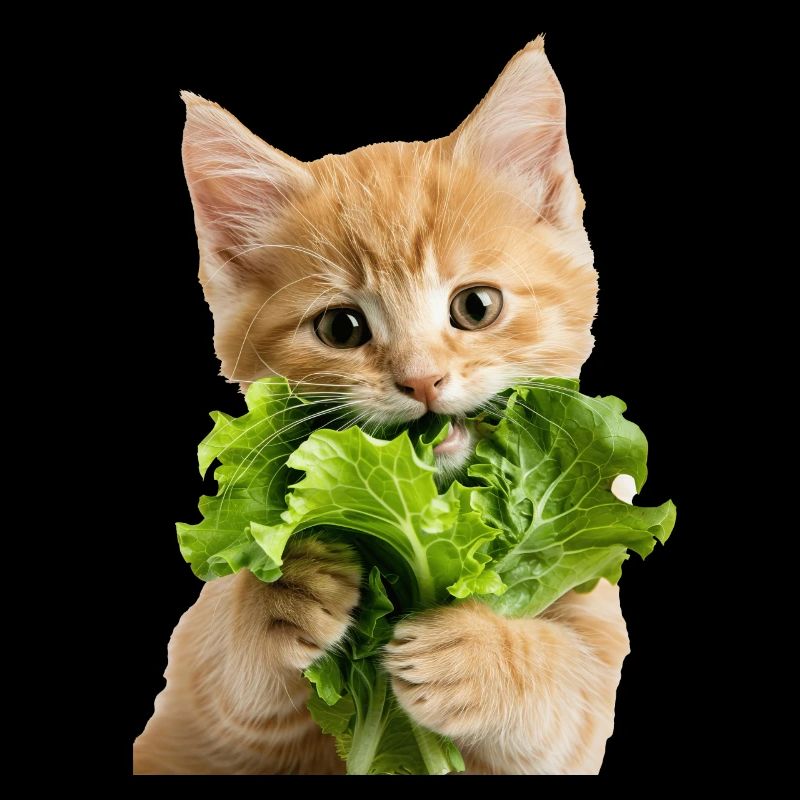 Katze