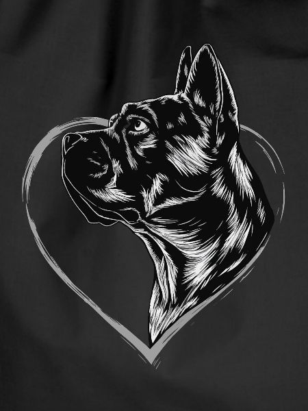 Cane Corso