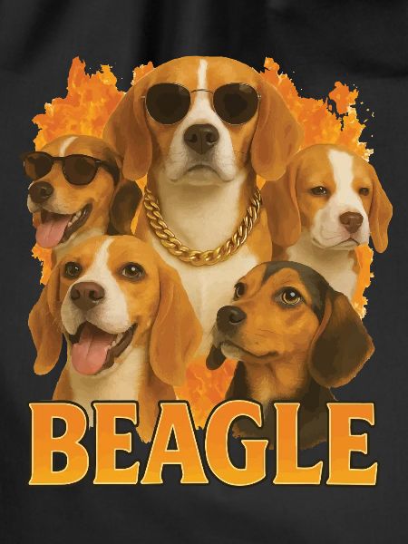 Beagle