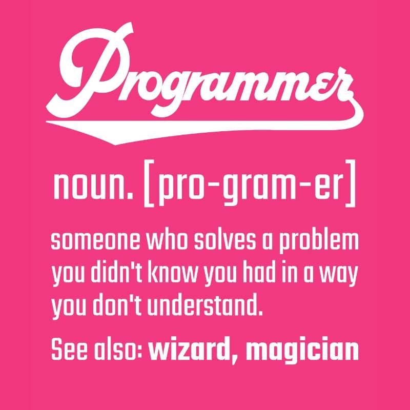 Programmer programmer noun noun definition