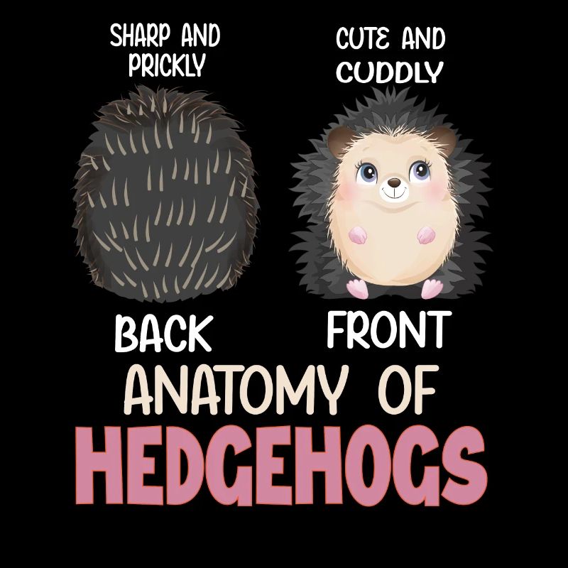 Anatomie des Igel