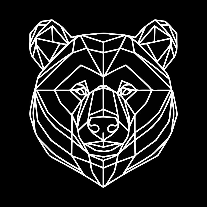 Bär Polygon