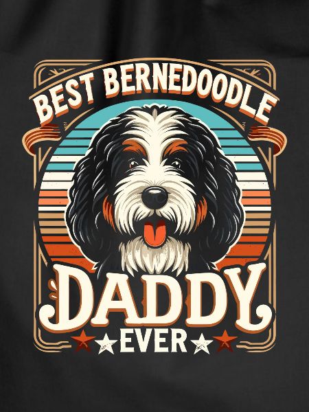 Bernedoodle Dog Daddy