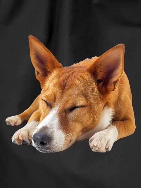Basenji