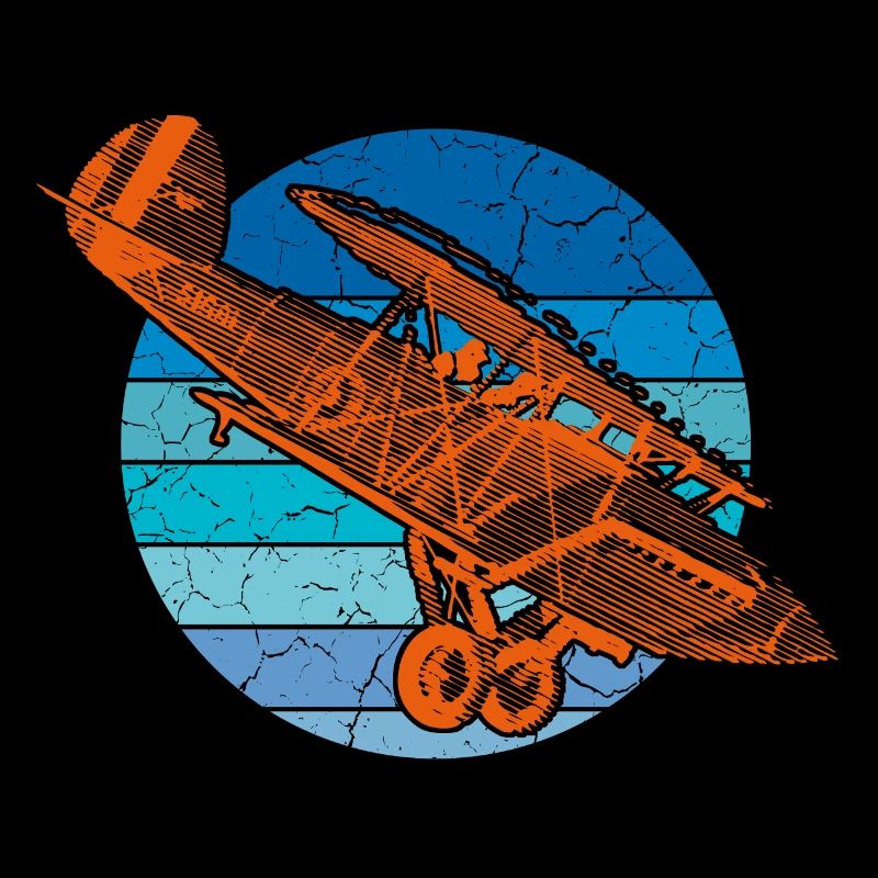 Airplane biplane