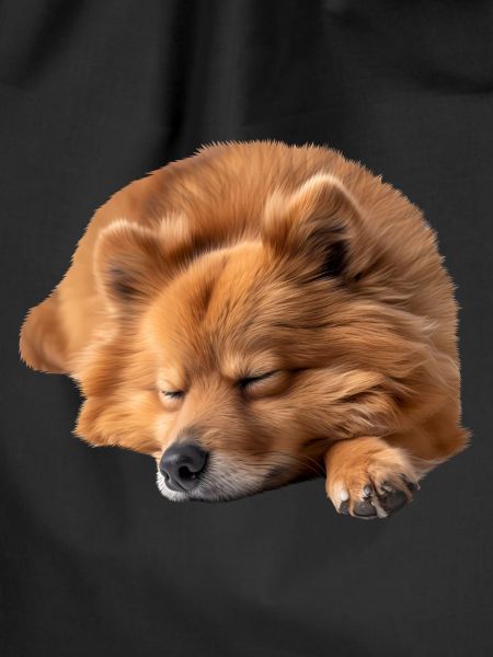 Finnish Spitz