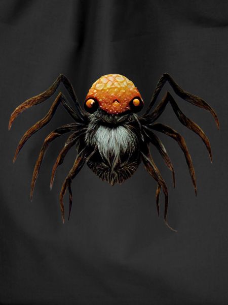 Hairy spider