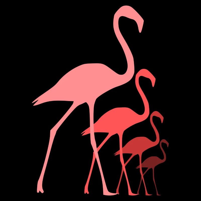 Flamingos