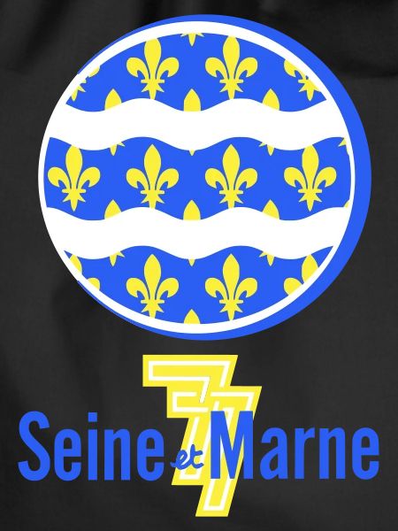Logo Seine et Marne 77