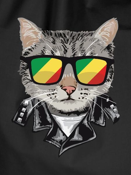Cat-Sonnenbrille Mit Kongo-Flagge