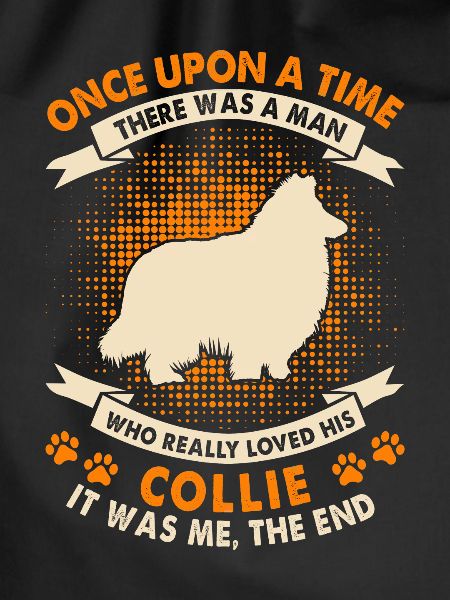Einmal - Collie