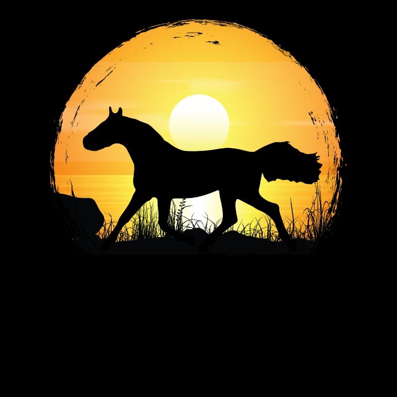 Sunset - Holsteiner Horse