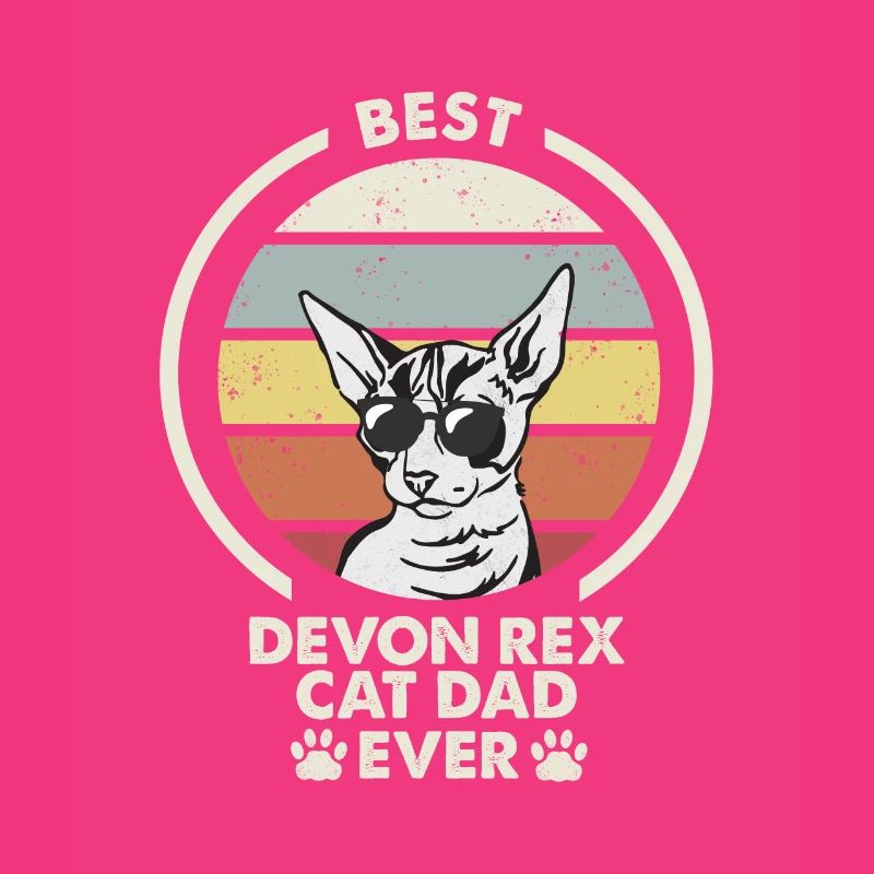 Papa chat - Devon Rex Chat