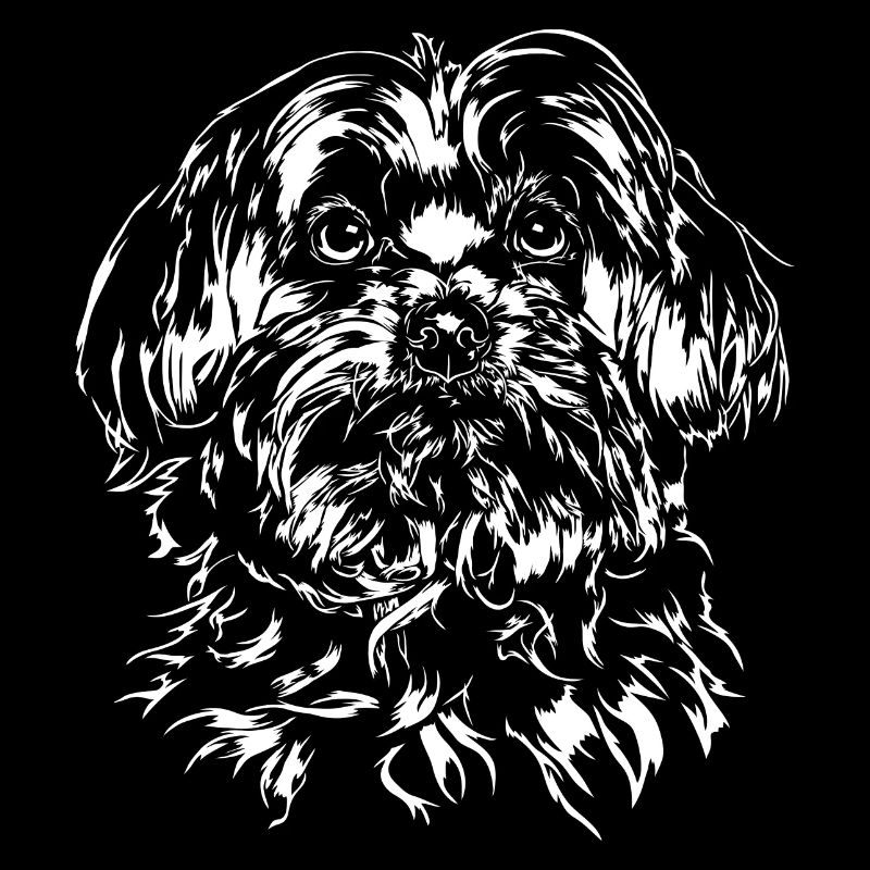 MALTESER Maltese Wilsigns Chien