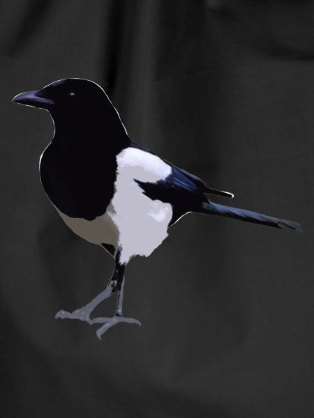 magpie