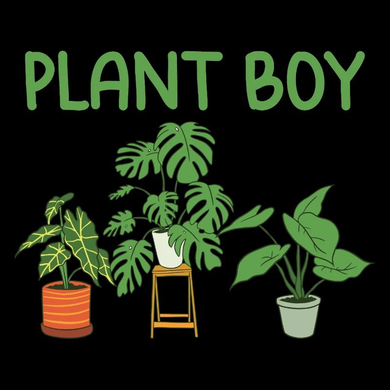 Plantes d’intérieur
