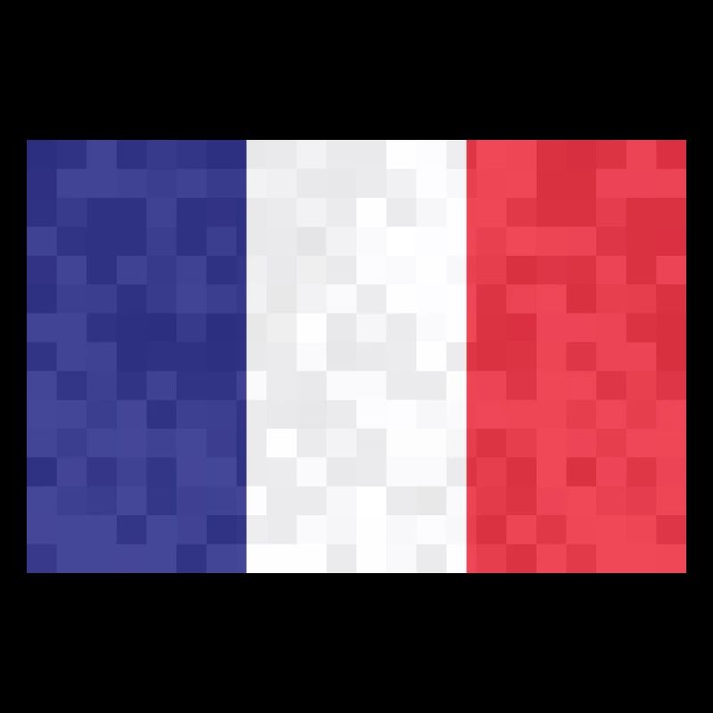 France Drapeau utilisé Look Drapeau français