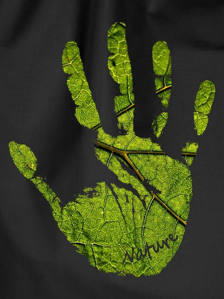 Hand nature