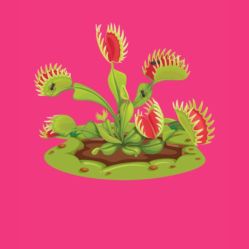 Venus Flytrap Carnivorous