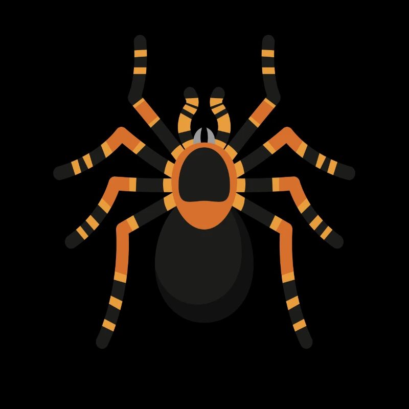 Araignée Araignée Tarentule