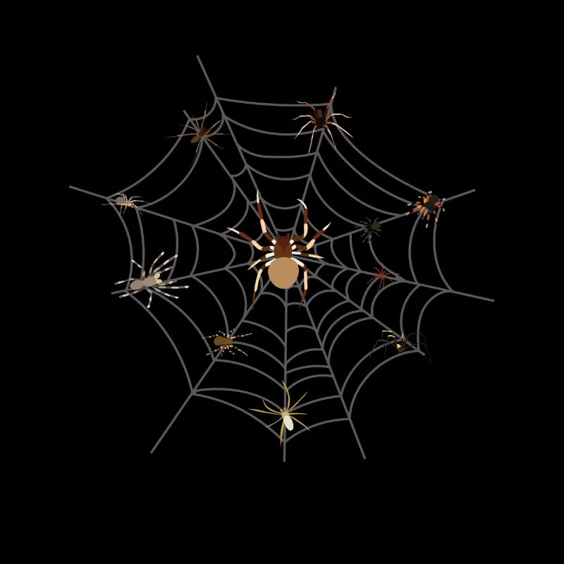 spider web spider tarantula
