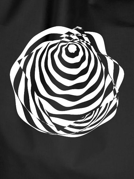 Illusion Optical illusion Perception