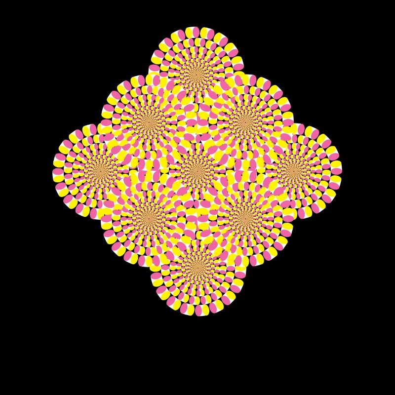 Perception Illusion d’optique Illusion