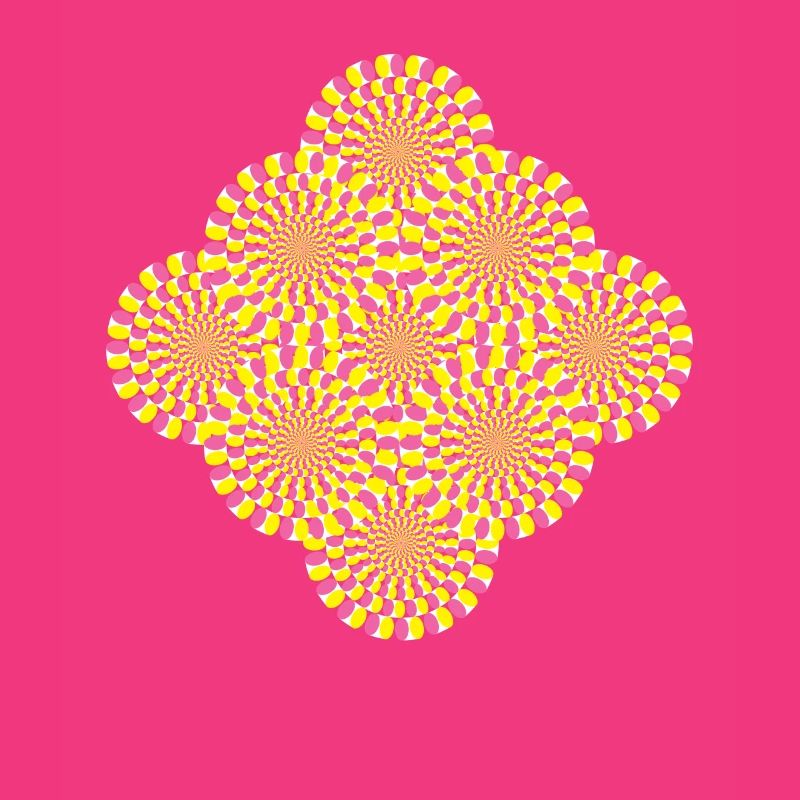 Perception Illusion d’optique Illusion