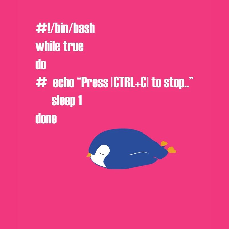 Funny Linux programmer computer scientist gift