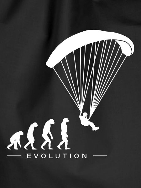 Paraglider Paragliding Evolution Motif