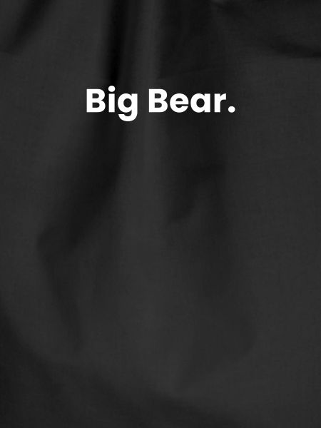 Big bear.