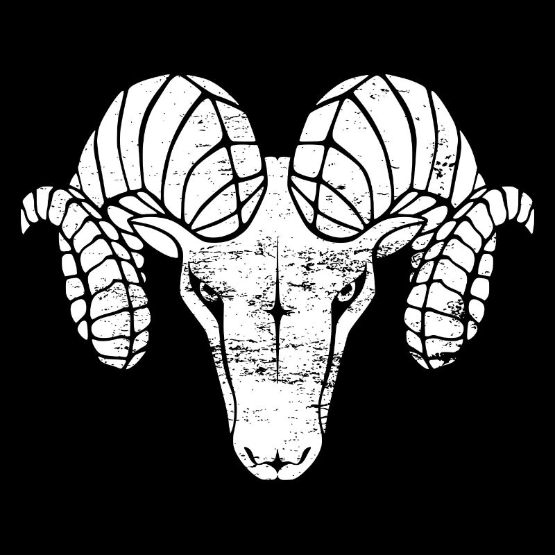 Aries used look - white