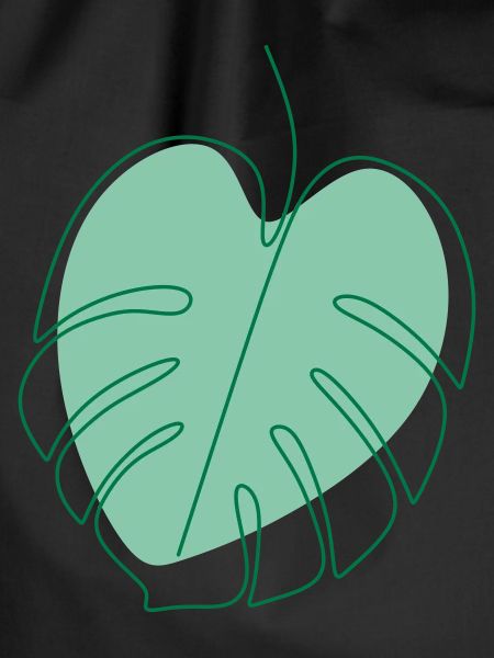 Monstera