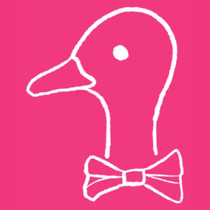 Duck with bow tie