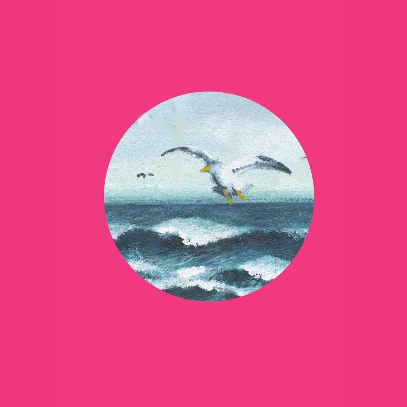 seagulls
