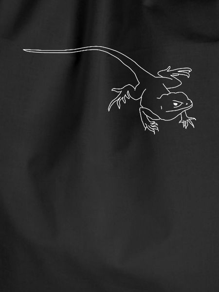 lizard