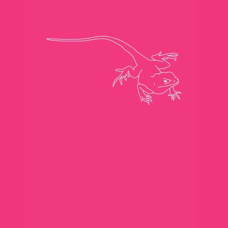 lizard