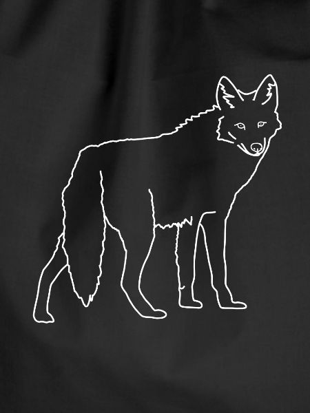 coyote