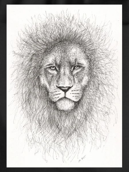 Very serious lion