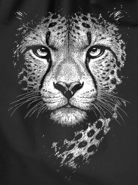 Guépard