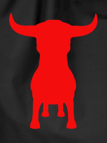 Stier, Bulle, Hörner, Vorderansicht