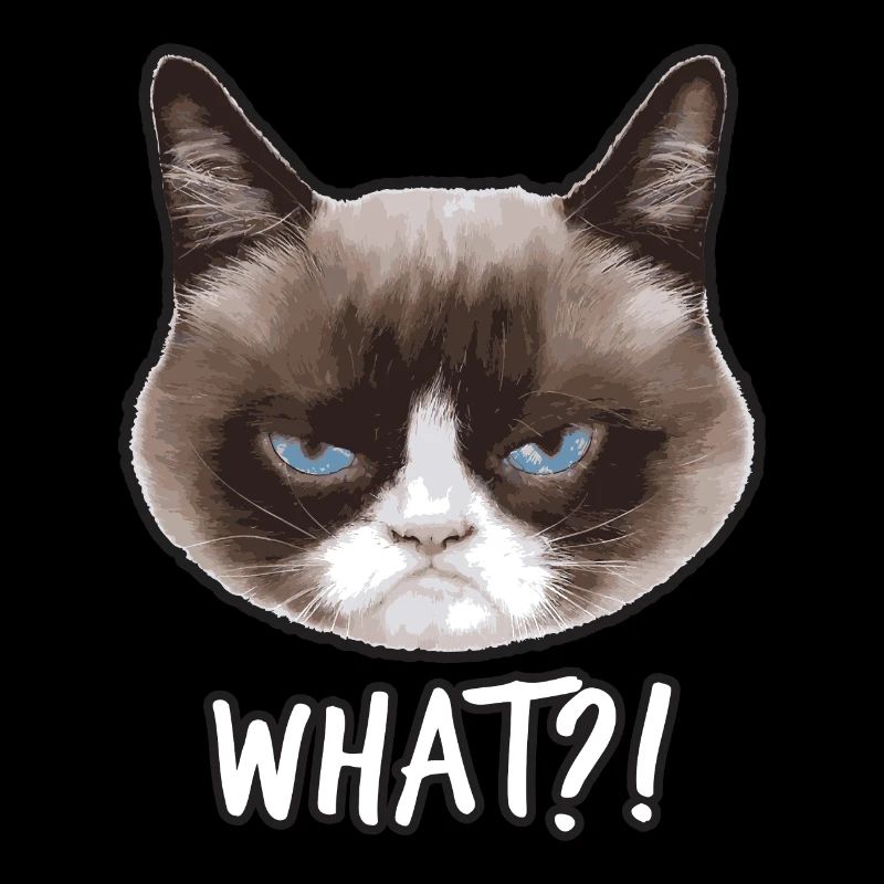 Grumpy Cat What?