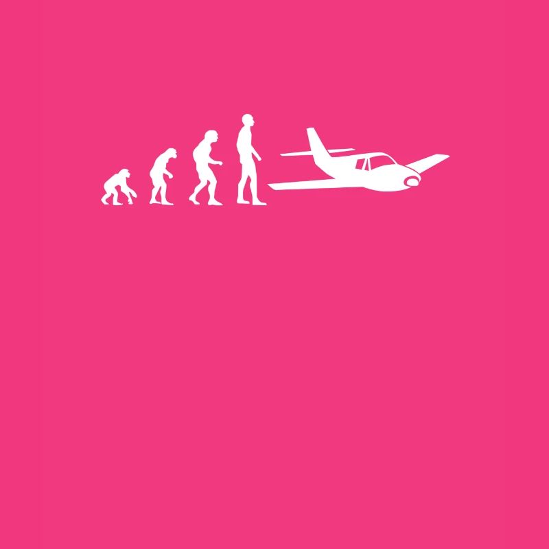 evolution pilot flugzeug