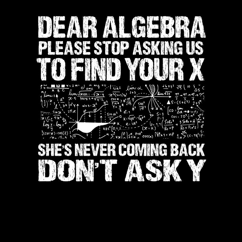 Mathe Algebra Sarkasmus Single Ex Rechnen Geschenk
