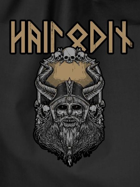 Odin Vikings
