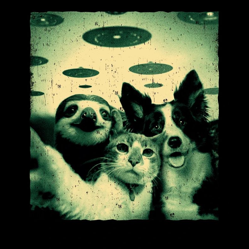 Waaaas? We? Nopee Alien, Cat, Dog, Sloth, UFO