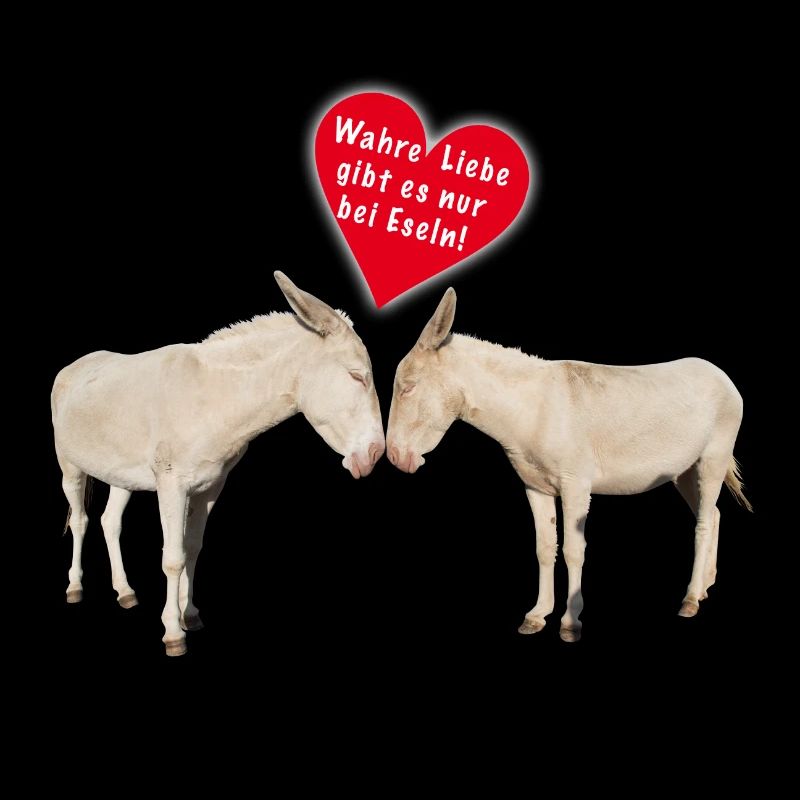 Wahre Esel Liebe