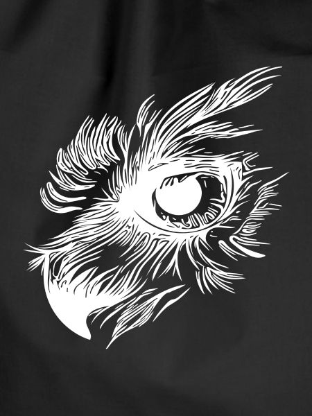 Owl beak - owl eye