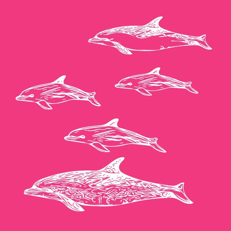 Dolphin School